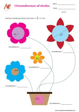 Circumference of Circles