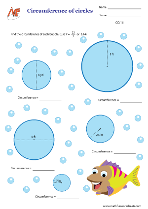Circumference of Circles