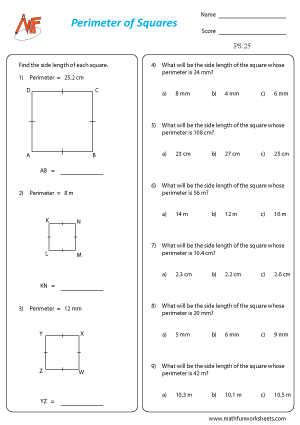 Perimeter of Squares