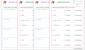 Polynomials Worksheets